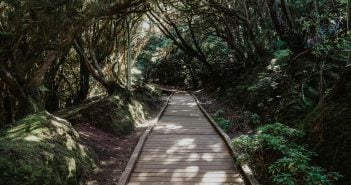 Anaga Naturpark Teneriffa Gebirgspfad