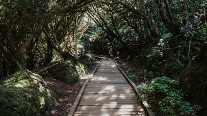 Anaga Naturpark Teneriffa Gebirgspfad
