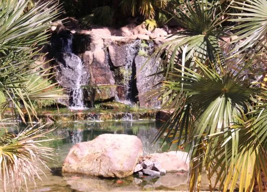 Palmetum Teneriffa Santa Cruz Wasser