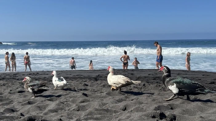 Playa Bollullo Teneriffa 10