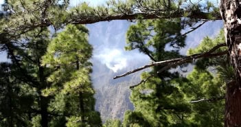 Waldbrand La Palma 05-2023