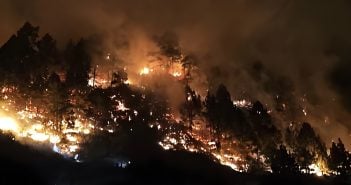 Waldbrand La Palma 11-2024