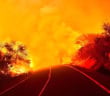Waldbrand Teneriffa Candelaria Feuerwalze 08-2023